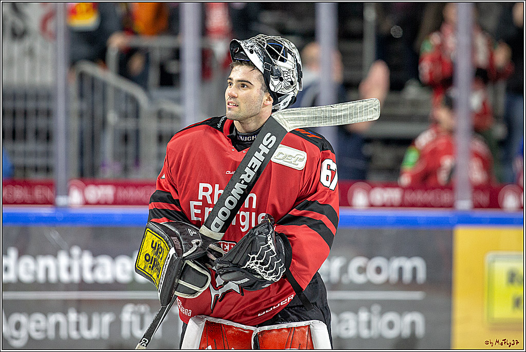 DEL; Koelner Haie - Thomas Sabo Ice Tigers Nuernberg, 19.02.2019
